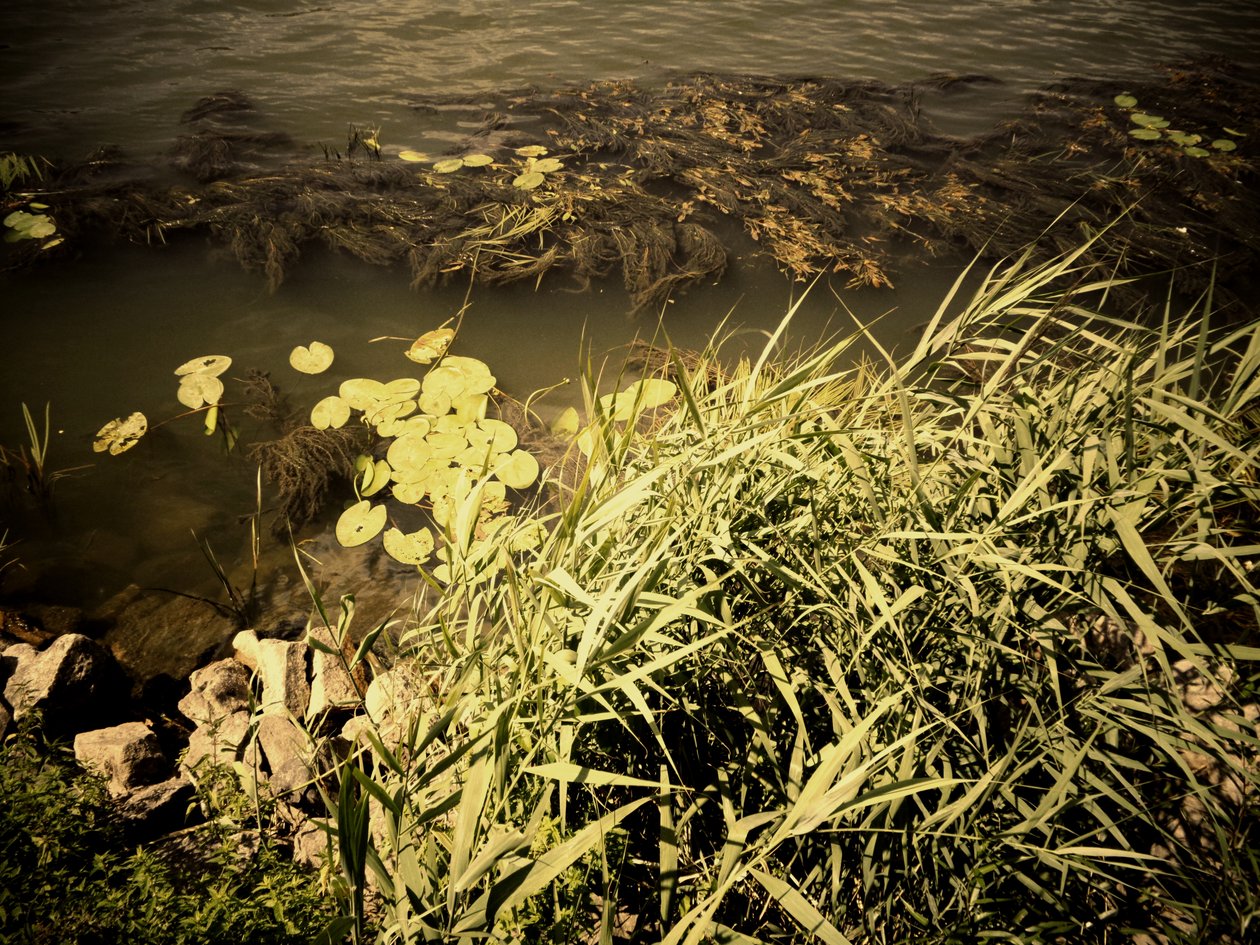 Sul fiume da Martina Konitzky