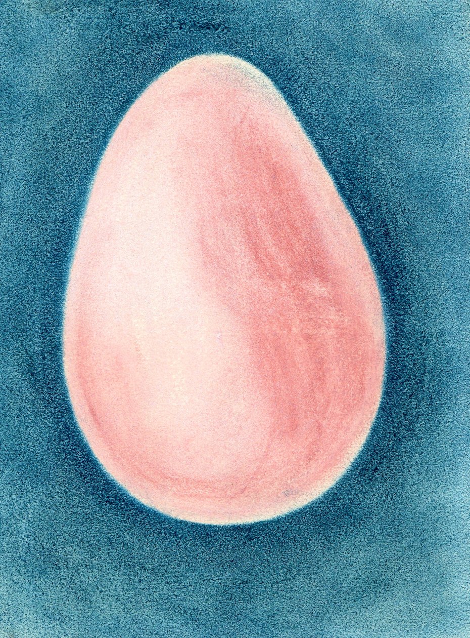 Uovo rosa da Martina Konitzky