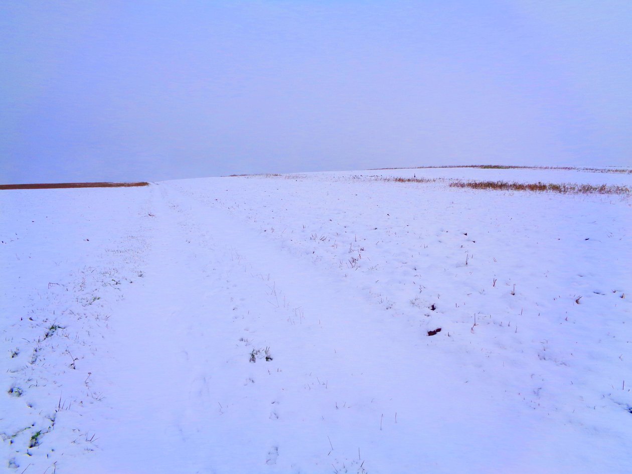 Campi in inverno da Martina Konitzky