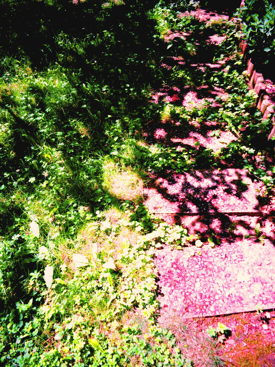Principe e Principessa o Erba e Sentiero del Giardino da Martina Konitzky