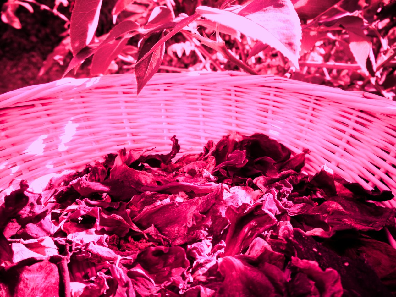 Petali di rosa Potpourri da Martina Konitzky
