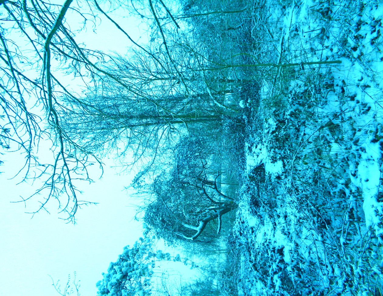 Blu invernale da Martina Konitzky