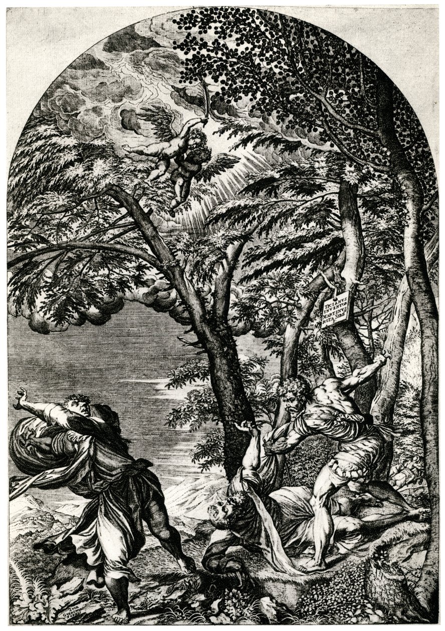 Martirio di San Pietro Martire da Martino Rota