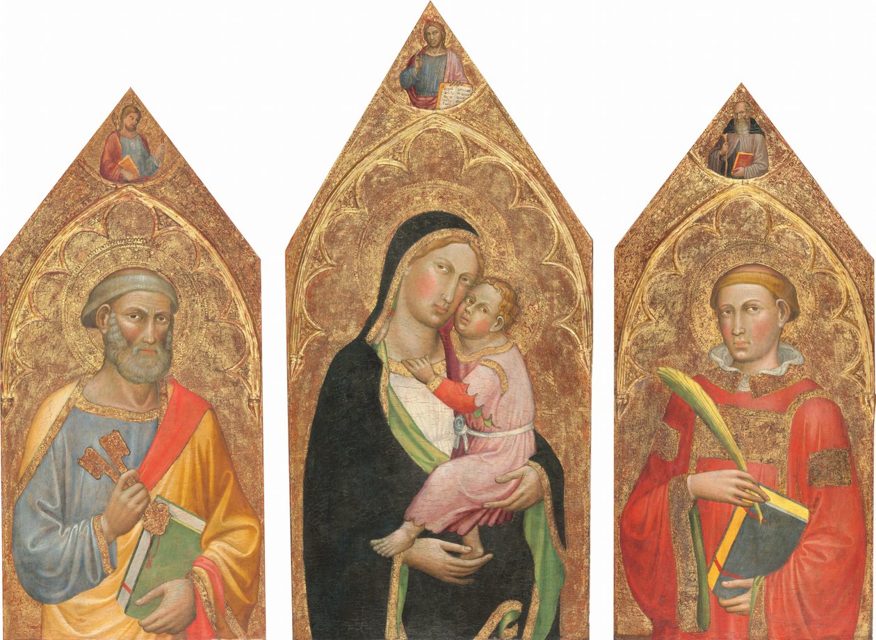 Madonna col Bambino e Cristo benedicente, e santi Pietro, Giacomo Maggiore, Antonio... da Martino di Bartolomeo di Biagio