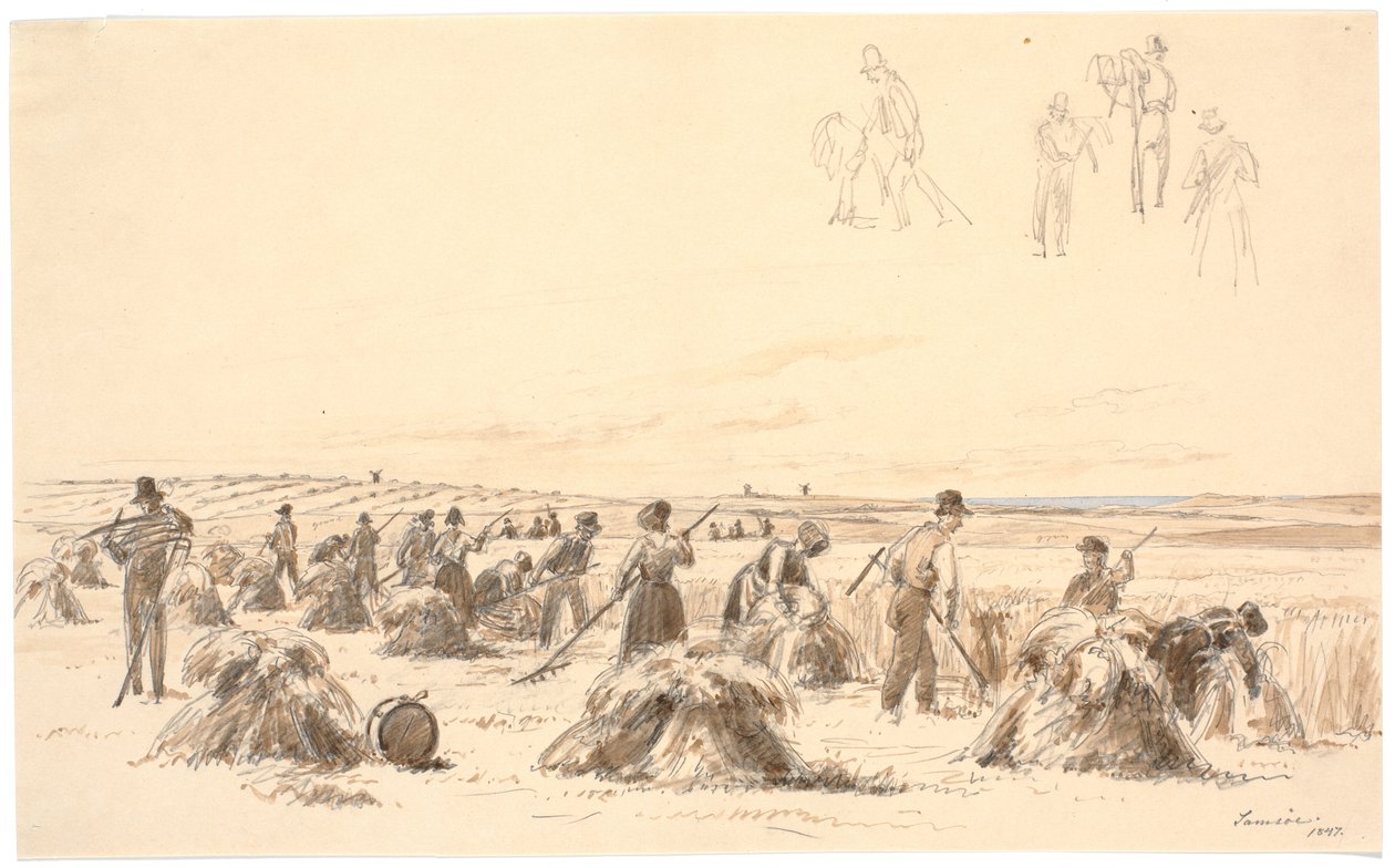 Lavoratori del raccolto nei campi. Sullo sfondo mulini e mare da Martinus Rørbye