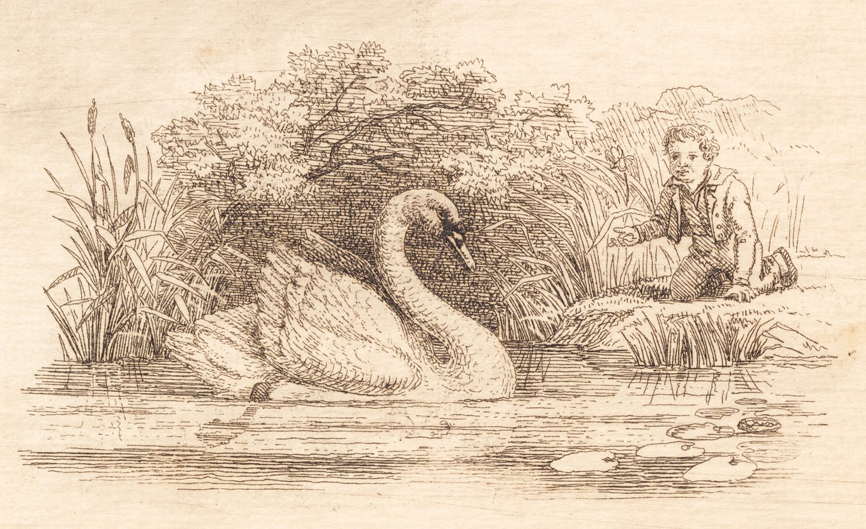 Illustrazione per "Halvhundrede Fabler for Børn" di Hey da Martinus Rørbye