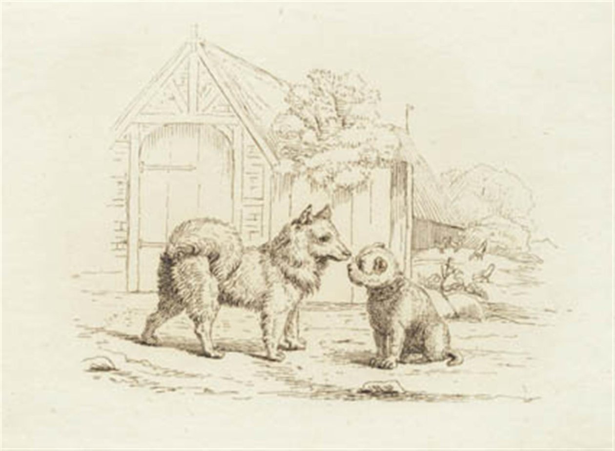 Illustrazione per "Cinquanta favole per bambini" di Hey da Martinus Rørbye