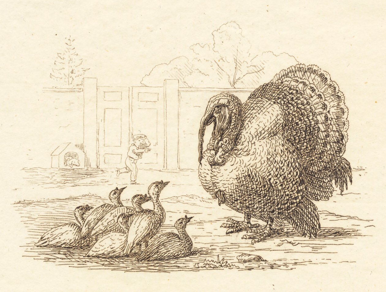 Illustrazione per "Halvhundrede Fabler for Børn" di Hey da Martinus Rørbye