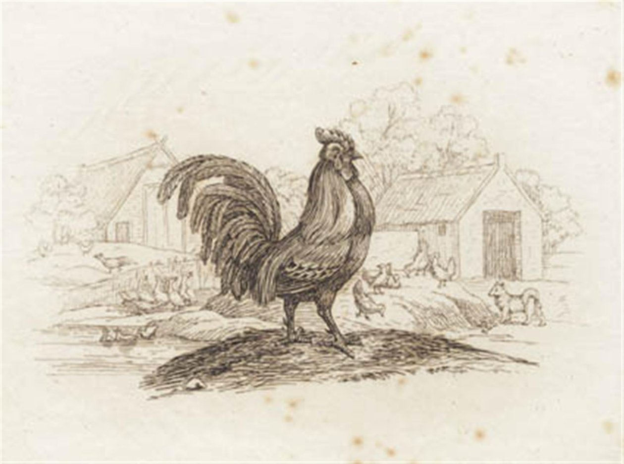 Illustrazione per "Cinquanta favole per bambini" di Hey da Martinus Rørbye