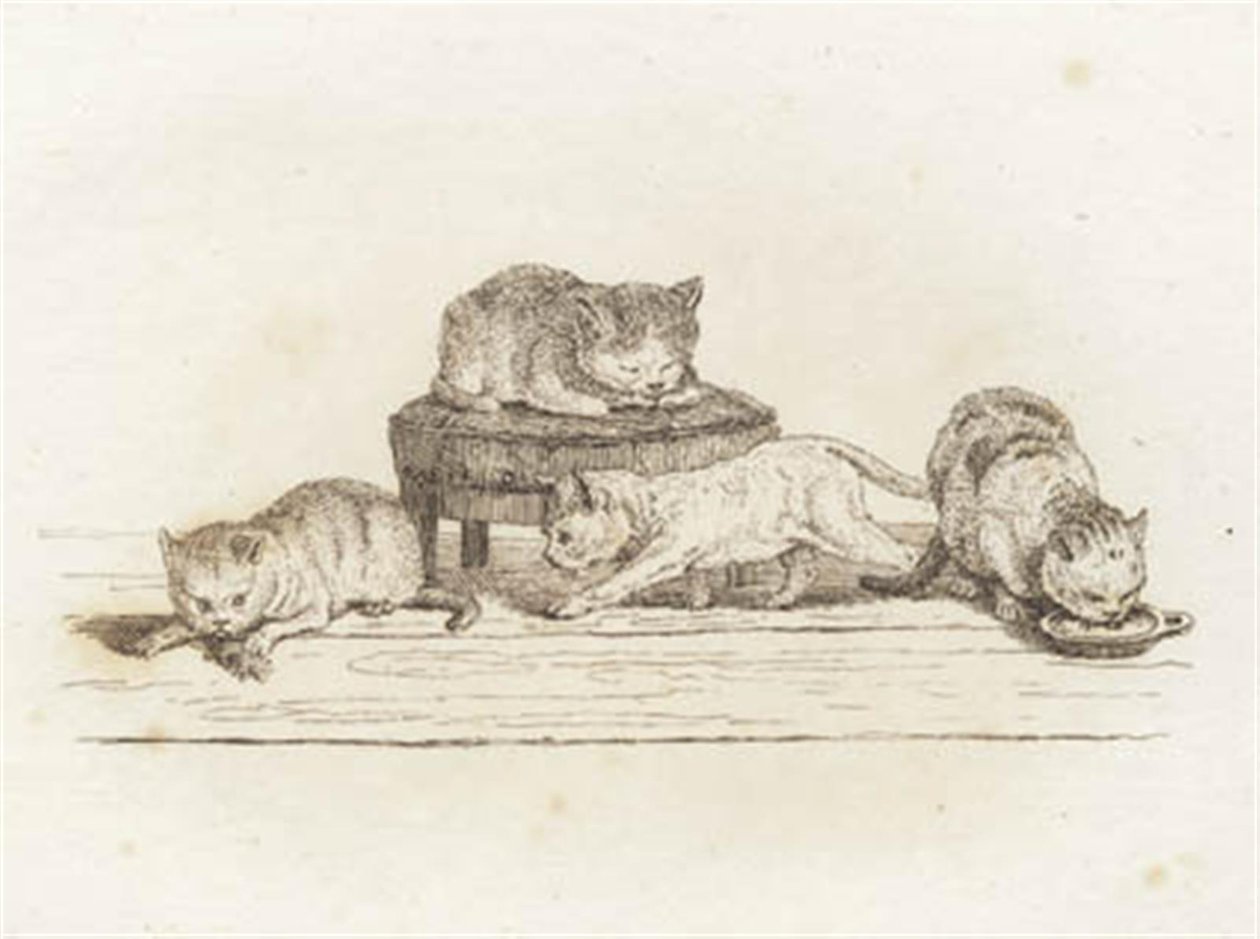 Illustrazione per "Halvhundrede Fabler for Børn" di Hey da Martinus Rørbye