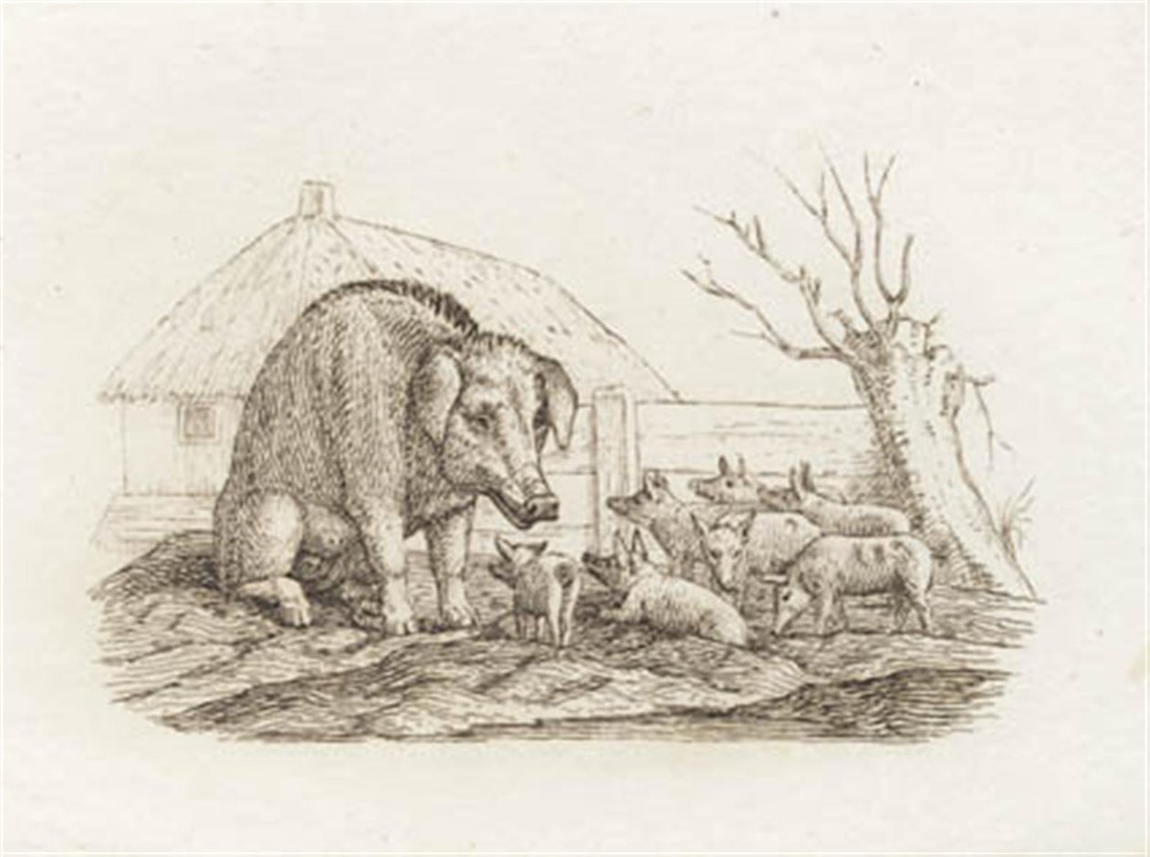 Illustrazione per "Halvhundrede Fabler for Børn" di Hey da Martinus Rørbye