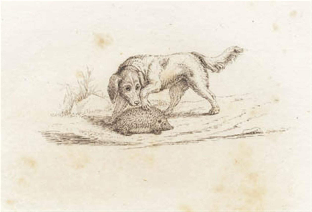Illustrazione per "Halvhundrede Fabler for Børn" di Hey da Martinus Rørbye