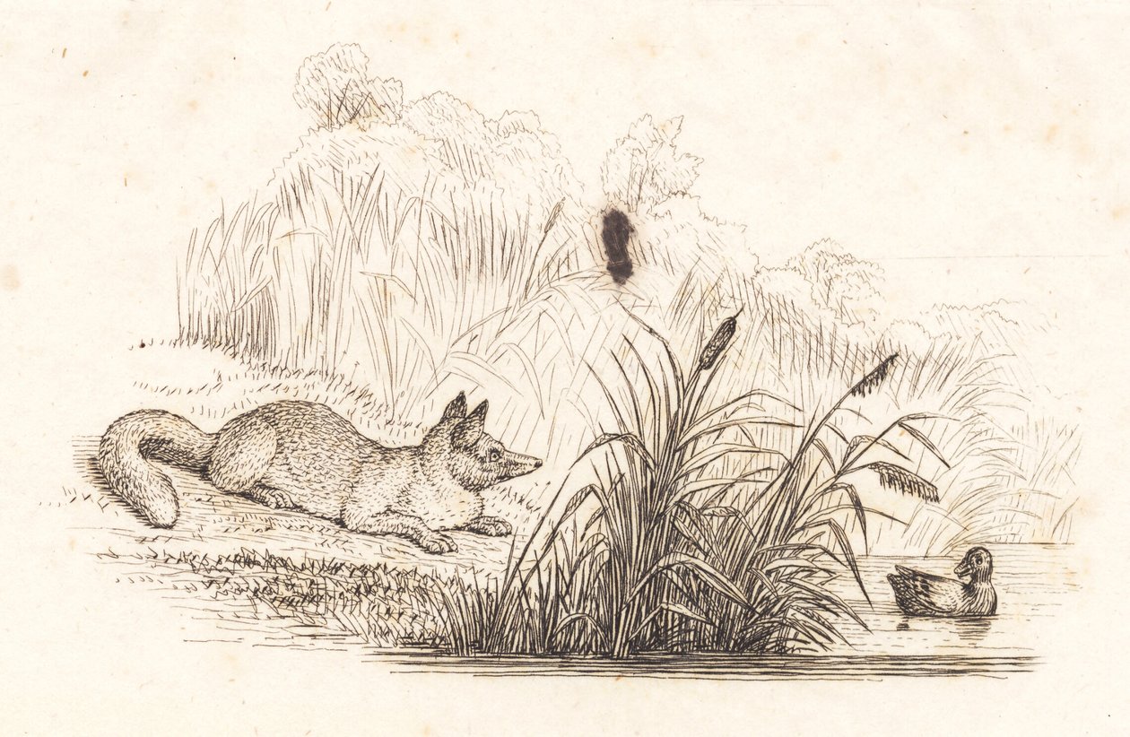 Illustrazione per "Cinquanta favole per bambini" di Hey da Martinus Rørbye