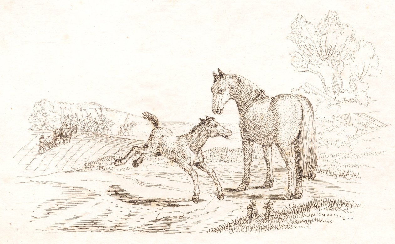 Illustrazione per "Halvhundrede Fabler for Børn" di Hey da Martinus Rørbye