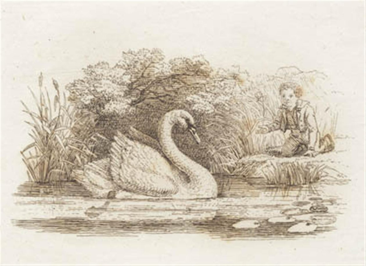 Illustrazione per "Cinquanta favole per bambini" di Hey da Martinus Rørbye