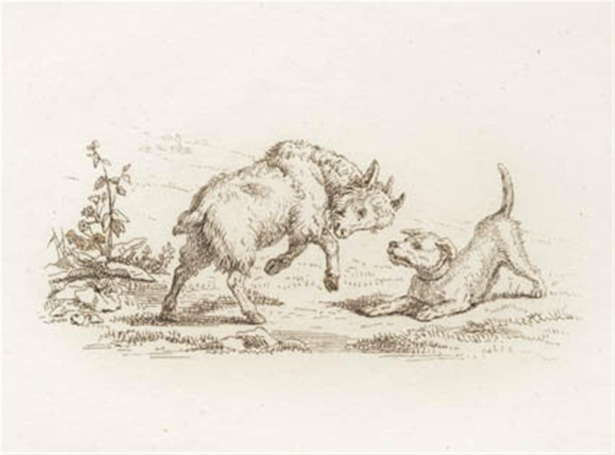 Illustrazione per "Halvhundrede Fabler for Børn" di Hey da Martinus Rørbye