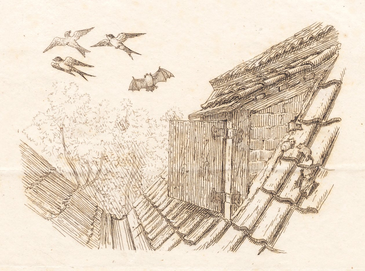 Illustrazione per "Halvhundrede Fabler for Børn" di Hey da Martinus Rørbye