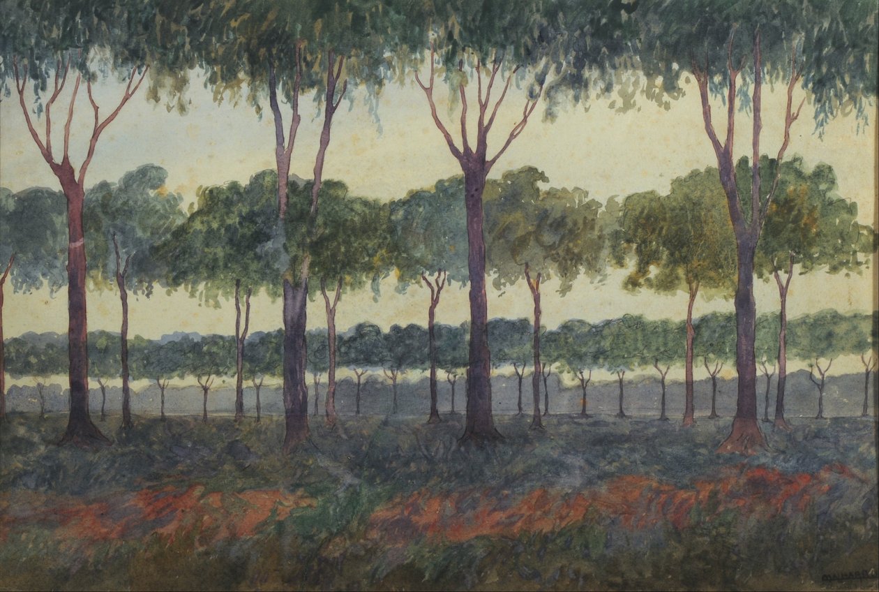 Boschetto di alberi da Martín Malharro