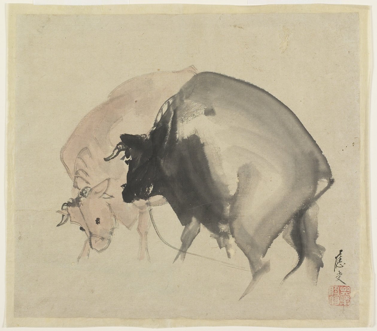 Due tori da Maruyama Oju