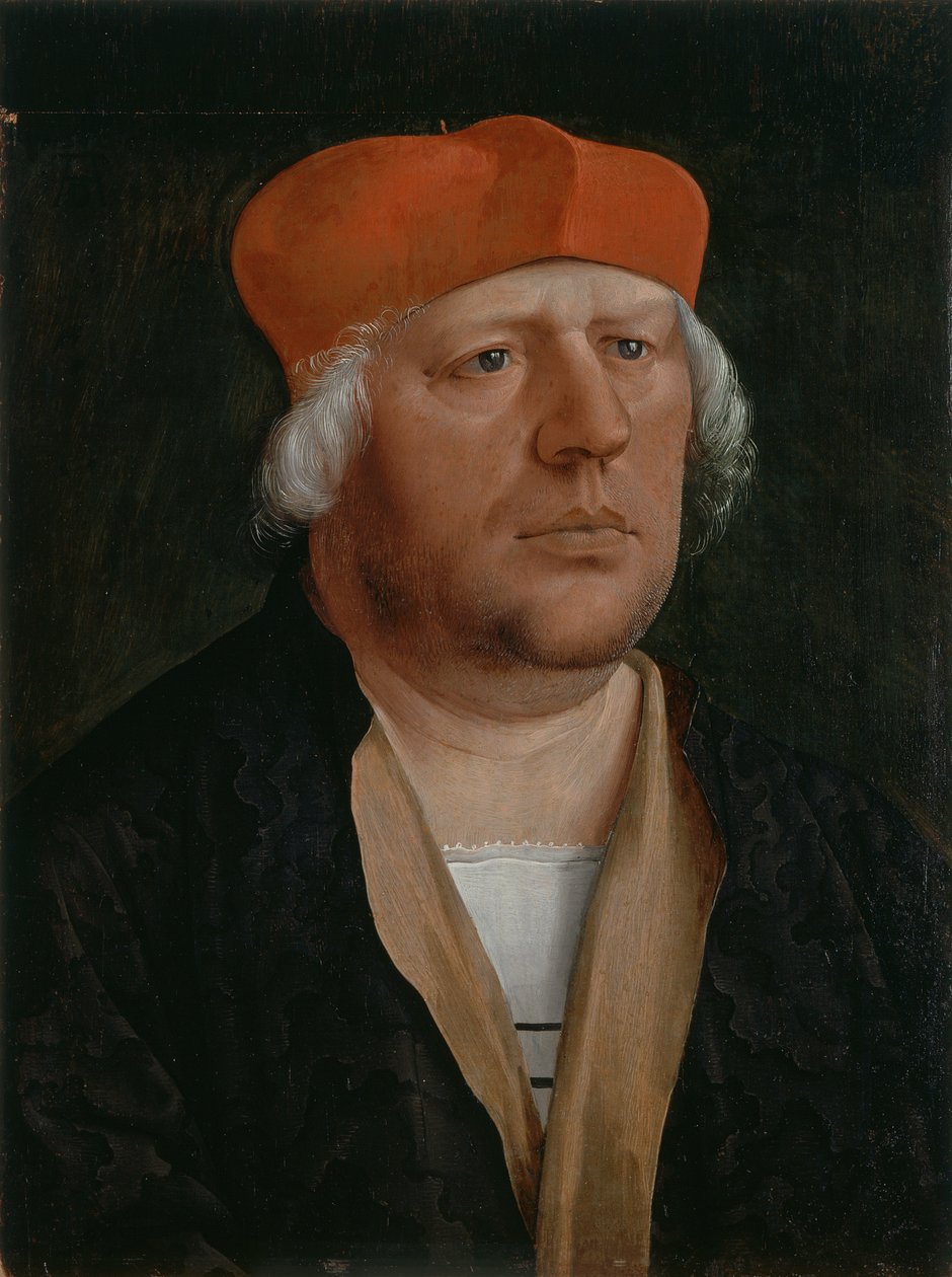 Ritratto di canonico, 1520 circa (olio su tavola) da Marx Reichlich