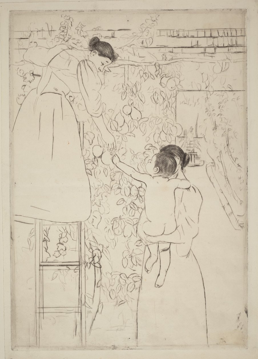 La raccolta della frutta da Mary Cassatt