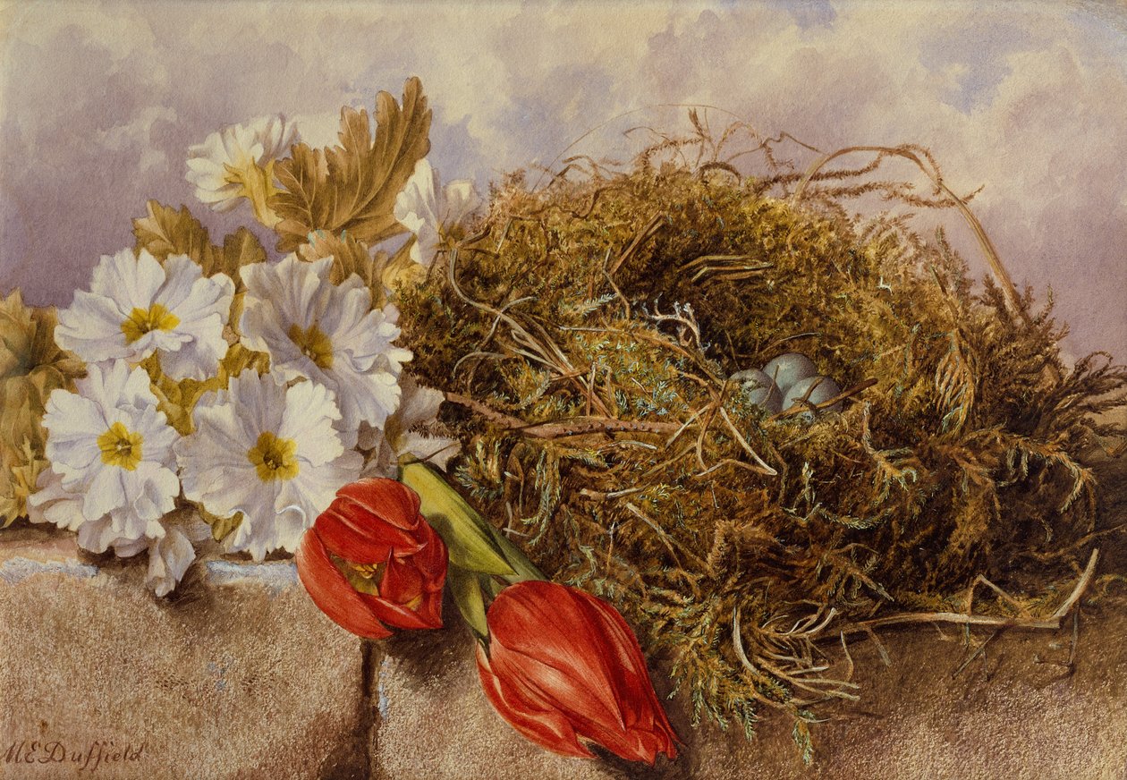 Natura Morta di Tulipani in Fiore e un Nido di Uccelli su una Mensola da Mary Elizabeth Duffield