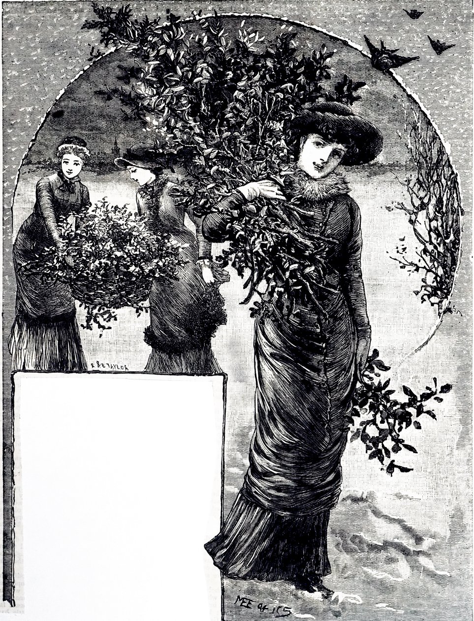 Incisione che raffigura la raccolta di agrifoglio e sempreverdi per le decorazioni natalizie. Illustrato da Mary Ellen Edwards da Mary Ellen Edwards