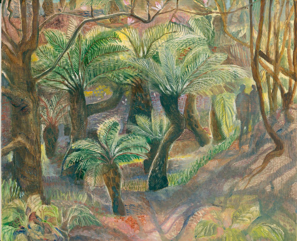 Felci arboree, Trewidden, 2012 da Mary Kuper