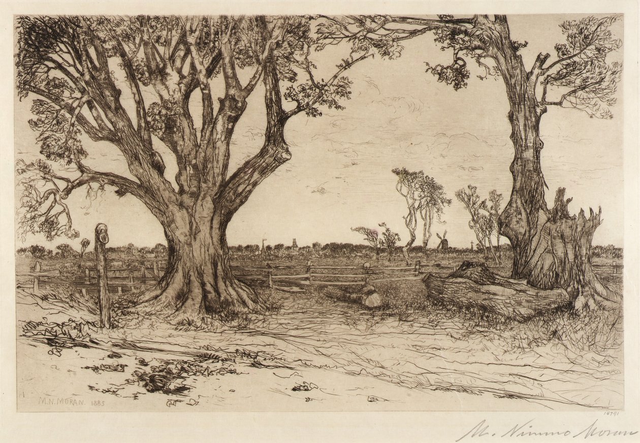 Vecchi tigli - vicino a Easthampton da Mary Nimmo Moran