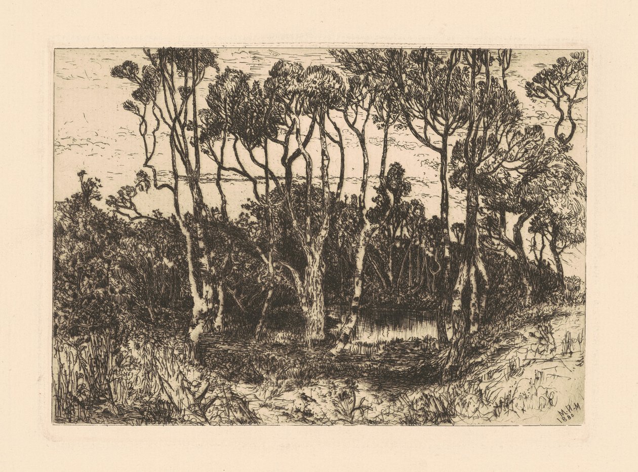 Solitudine da Mary Nimmo Moran