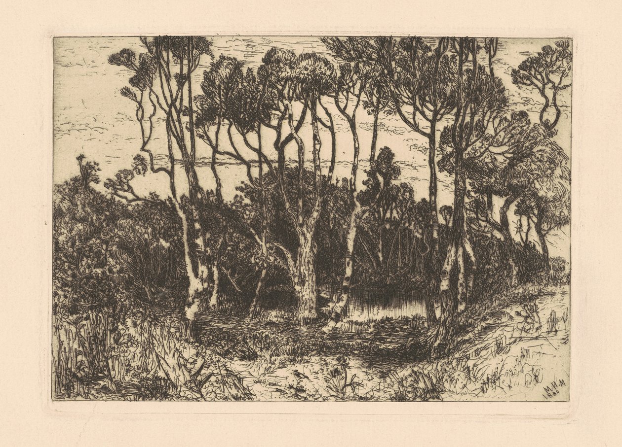 Solitudine da Mary Nimmo Moran