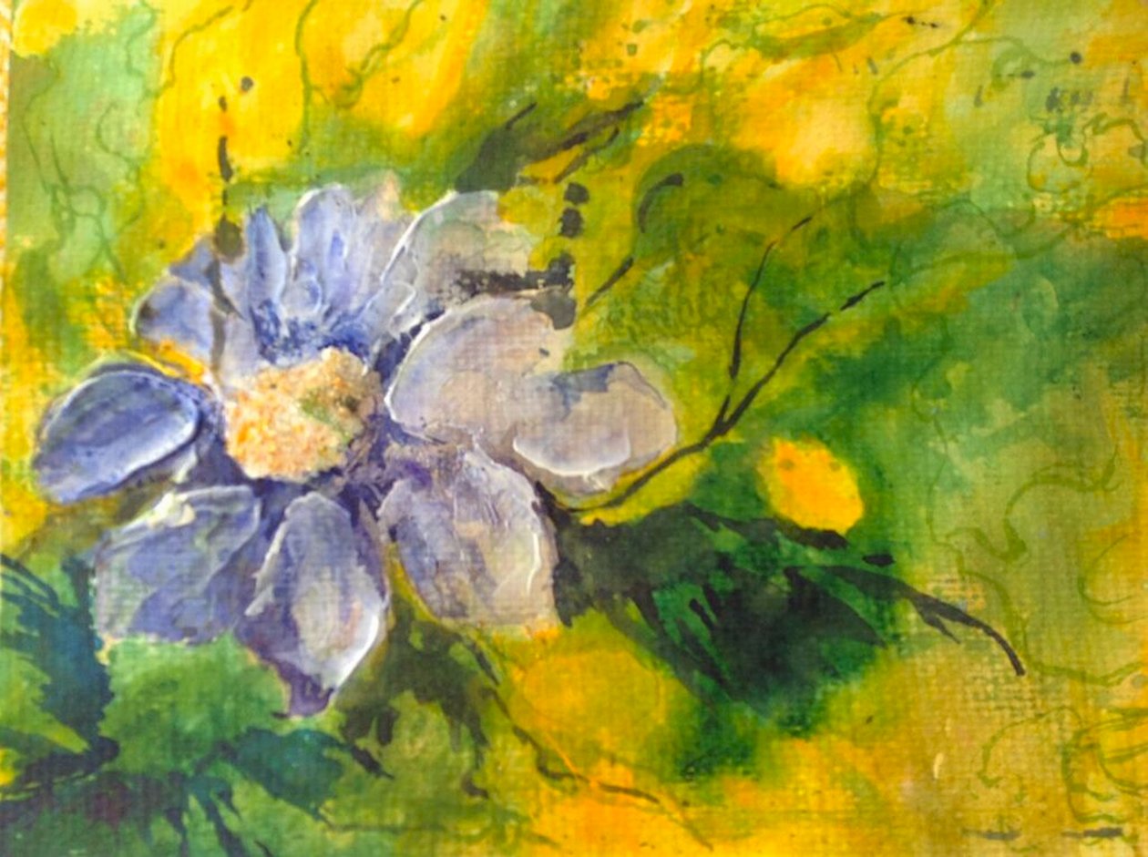 Clematide al sole della sera da Mary Smith