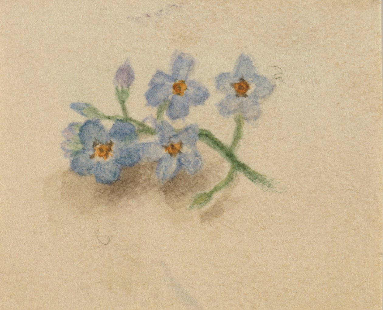 Senza titolo, 1874 da Mary Vaux Walcott