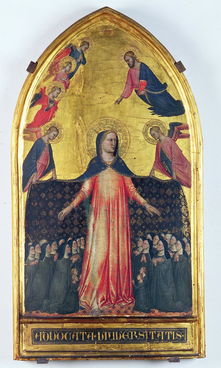 Madonna della Misericordia da Master of the Accademia Madonna