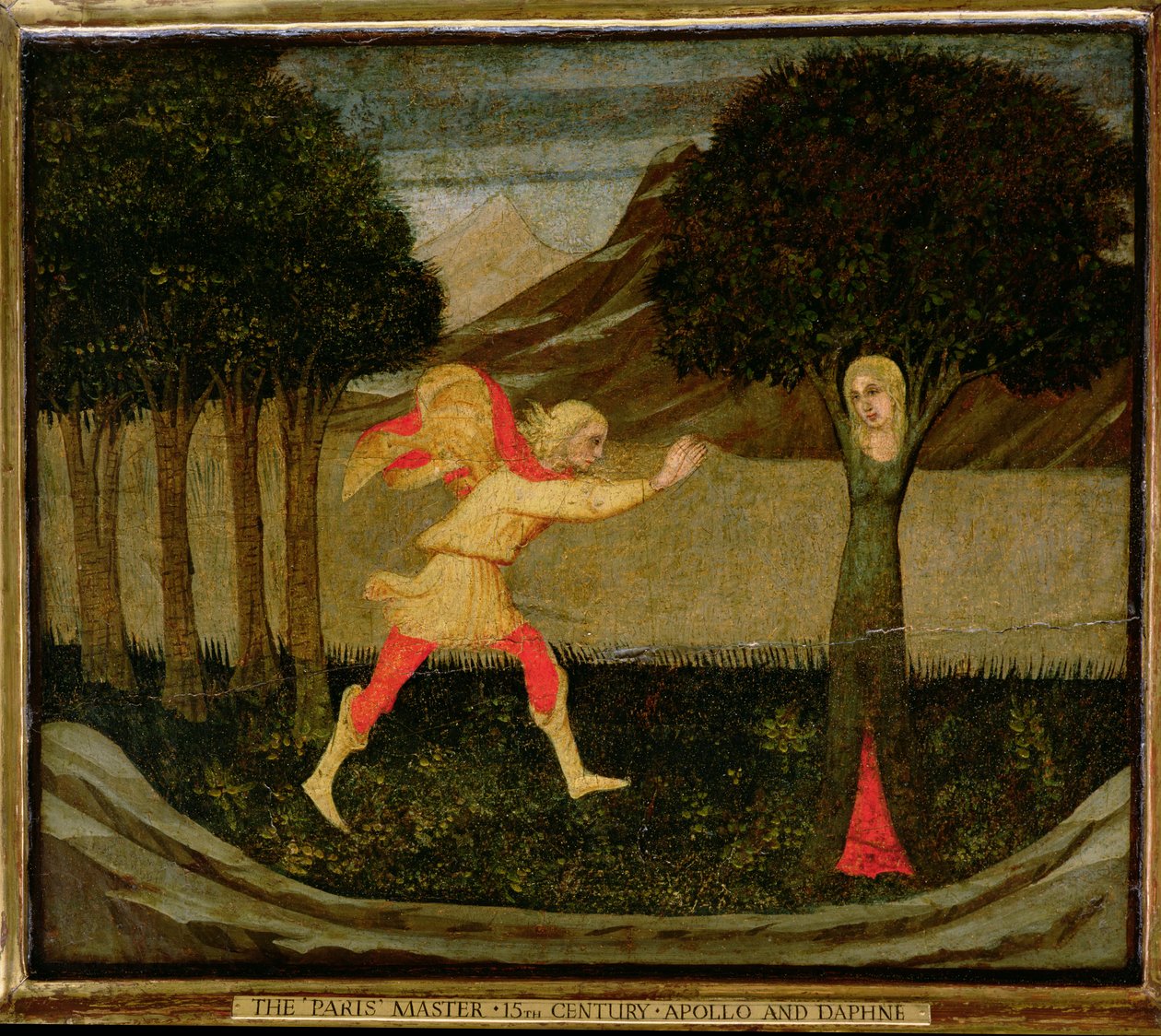 La metamorfosi di Dafne da Master of the Judgement of Paris