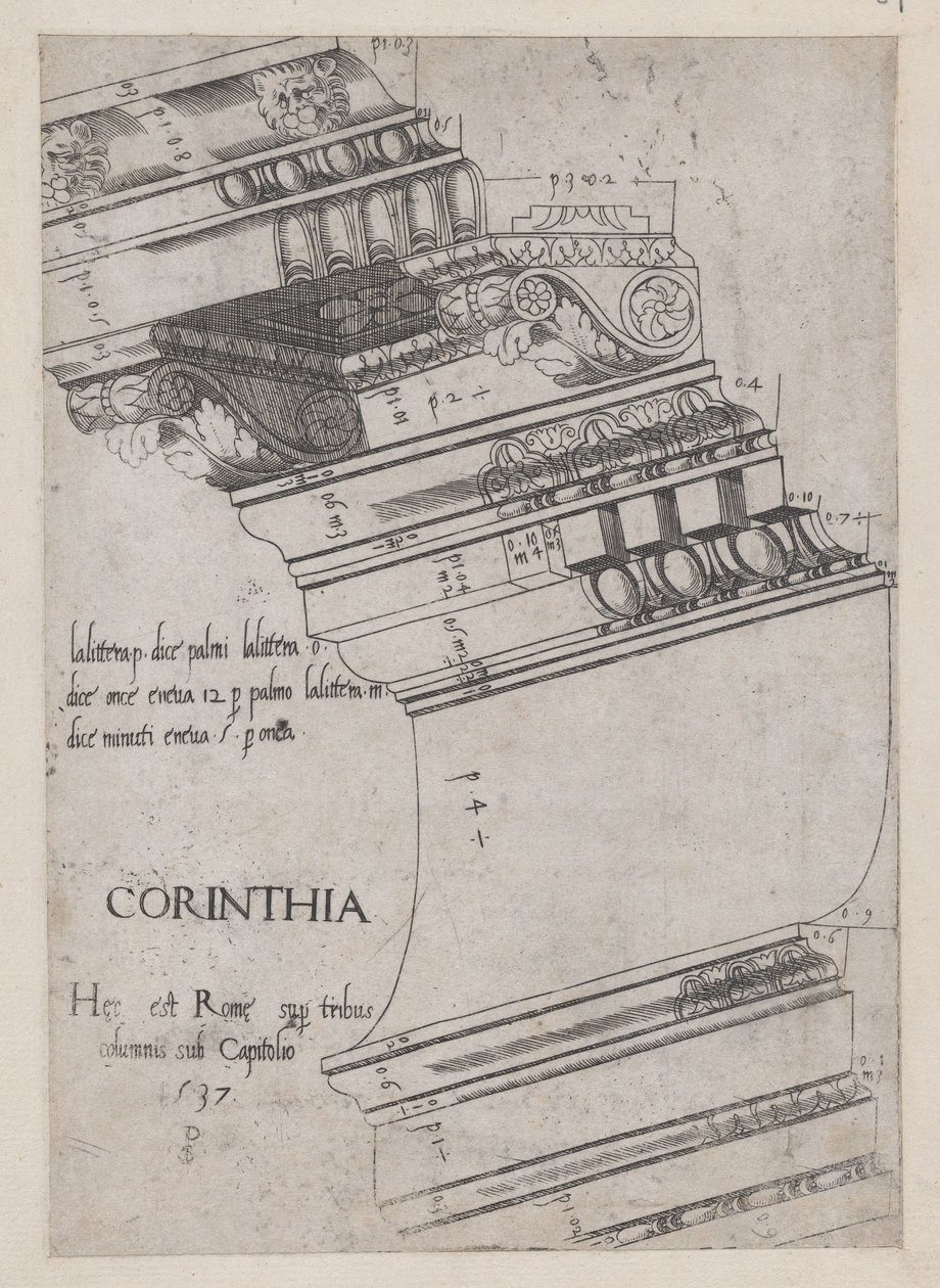 Speculum Romanae Magnificentiae: Trabeazione dal Tempio di Vespasiano, Roma, 1537 da Master PS