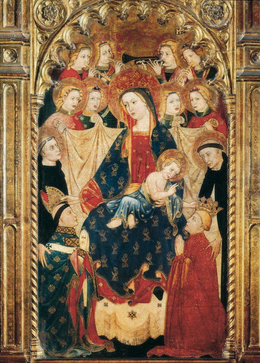 Pala d