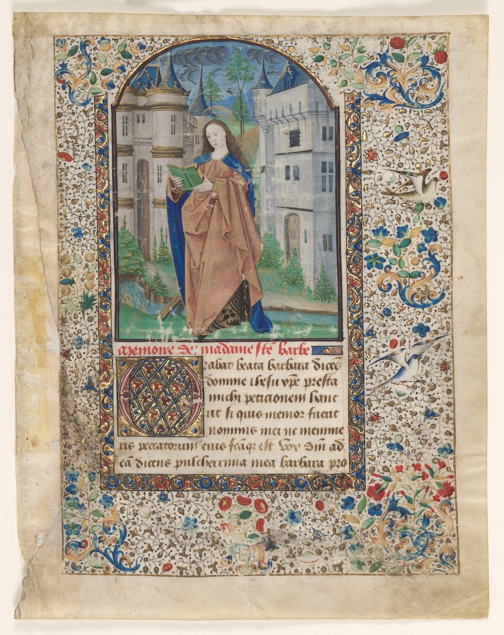 Foglia da un Libro d