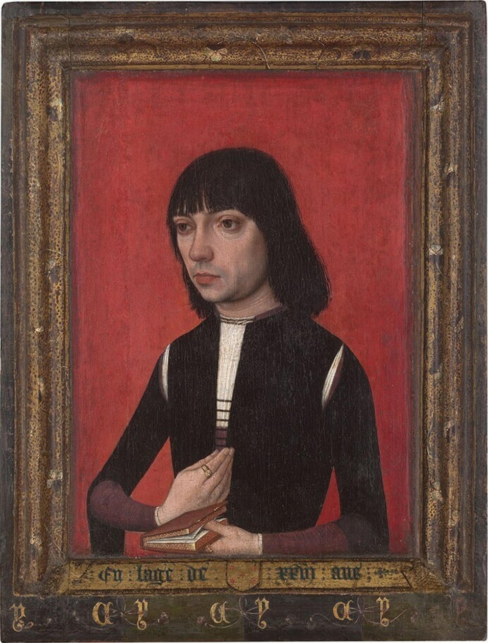 Olandese: Ritratto di un giovane della famiglia Fonseca Ritratto di un giovane della famiglia Fonseca da Master of Portraits of Princes