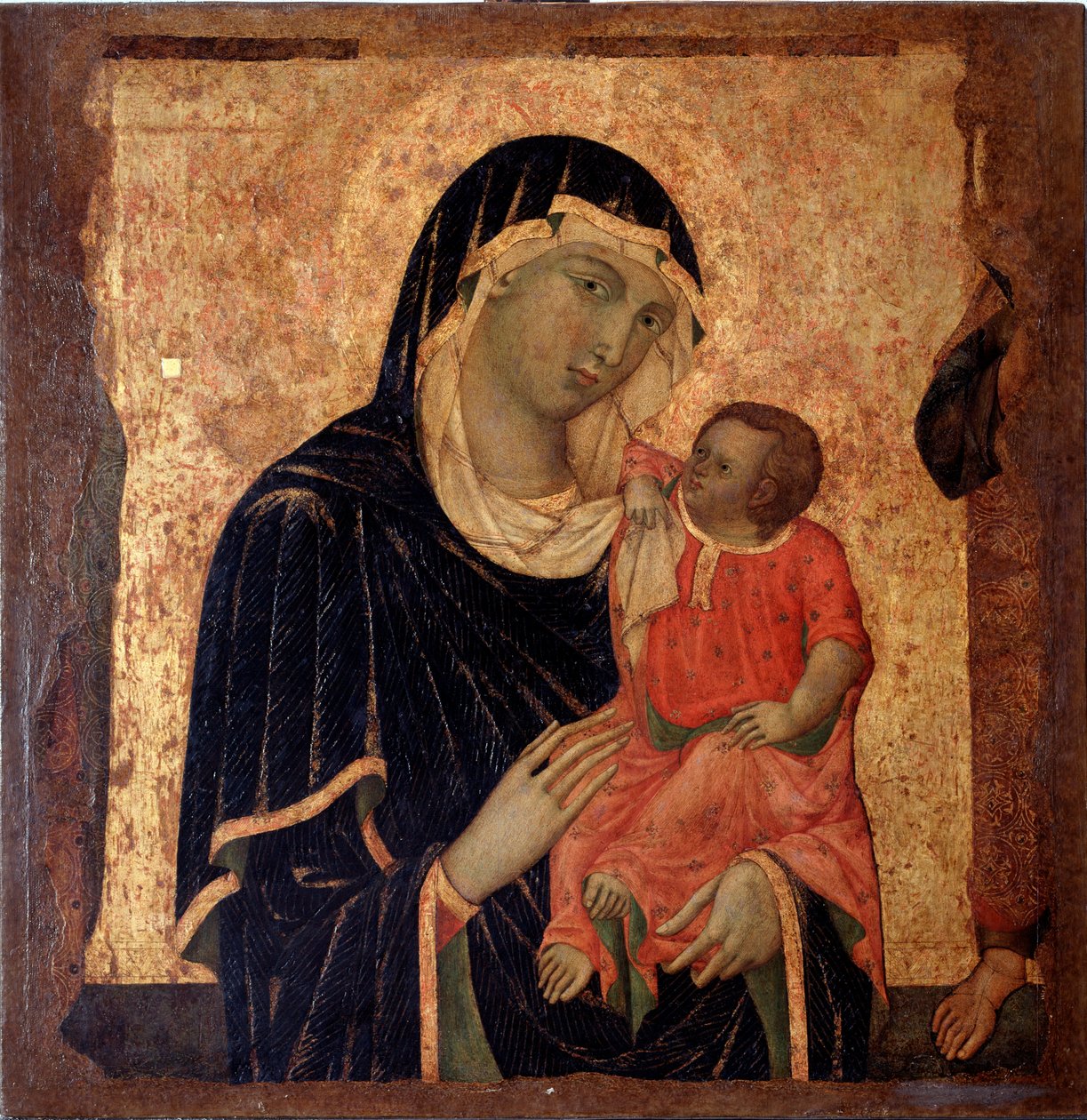 Vergine con bambino da Master of Santa Maria di Castello