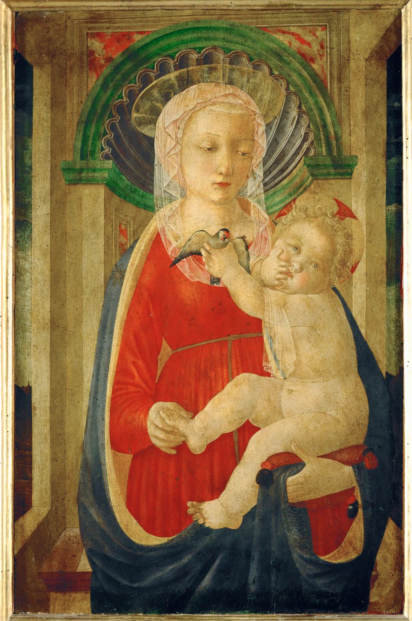 Madonna con bambino e cardellino ... da Master of the Castello Nativity