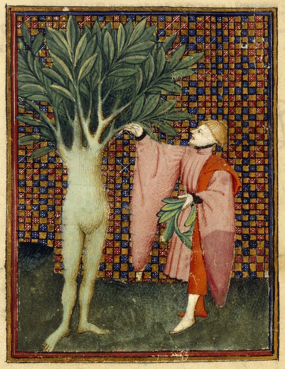Apollo e Dafne da Master of the Cité des Dames