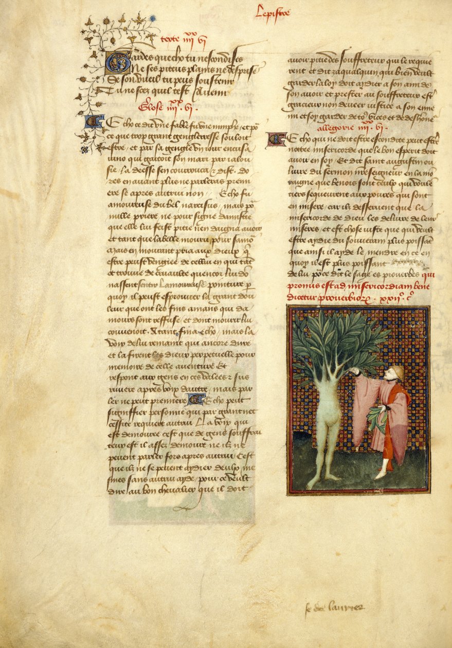 Apollo e Dafne, dalle 