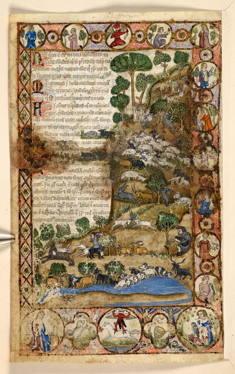 Add. 28841, f.1v: Bordi geometrici a tutta pagina di rombi, rosoni e quadrifogli abitati da animali e scene figurative: Pastori che sorvegliano pecore e capre e combattono contro i lupi, un diavolo rosso a cavallo nel bordo, da un Trattato da Master of the Cocharelli Codex