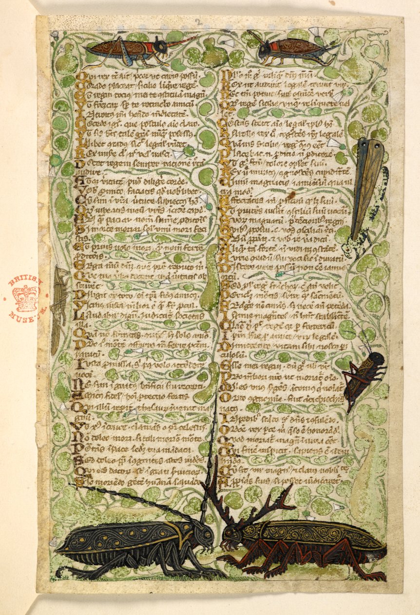 Coleotteri cornuti, grilli e una locusta, Trattato sulle Virtù e i Vizi, e una storia anonima in prosa della Sicilia (frammento) da Master of the Cocharelli Codex