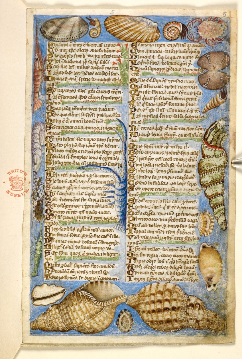 Conchiglie e creature marine, da un Trattato sulle Virtù e i Vizi, e una storia anonima in prosa della Sicilia (frammento), c.1330-40 da Master of the Cocharelli Codex