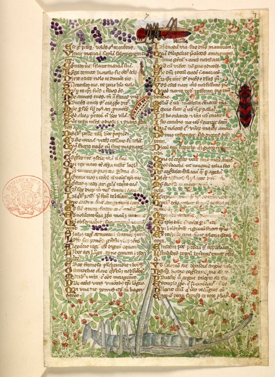 Fiori, frutta e insetti, tra cui una cavalletta e una locusta, da un Trattato sulle Virtù e i Vizi, e una storia anonima in prosa della Sicilia (frammento) da Master of the Cocharelli Codex