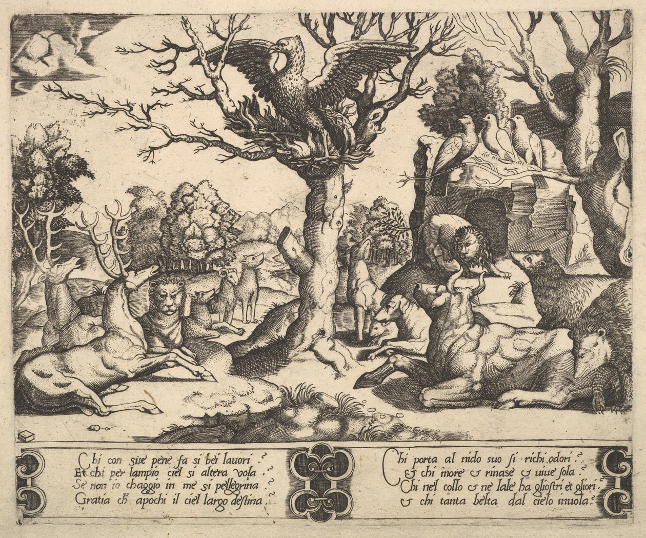 Una fenice seduta su un albero, ali aperte, una varietà di animali sotto, 1530-60 da Master of the Die