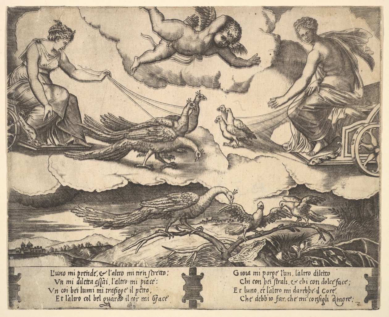 Allegoria del matrimonio e dell