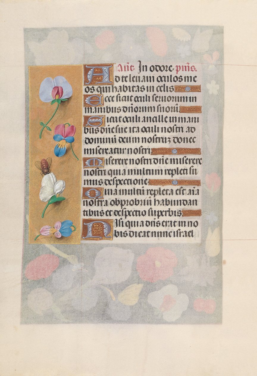 Ore della regina Isabella la Cattolica, regina di Spagna: Fol. 137v da Master of the First Prayerbook of Maximillian